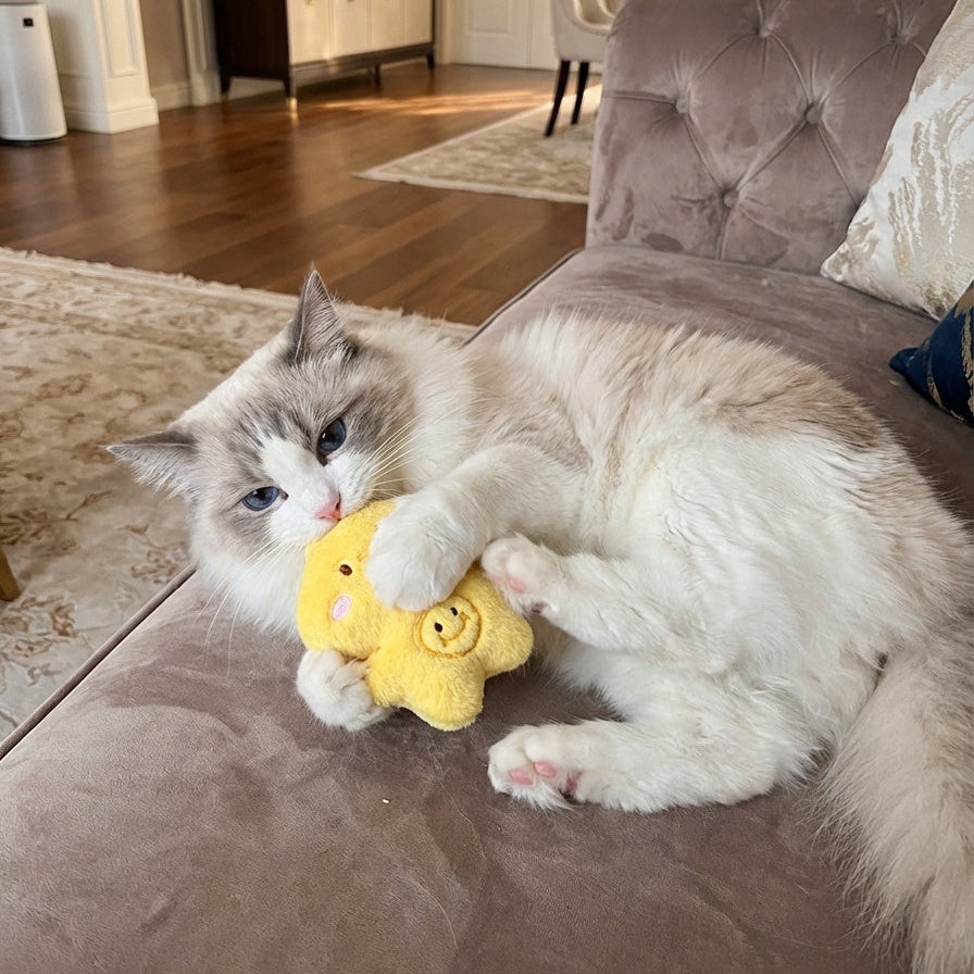 Pastel Dreams - Catnip Plush Toy Set for Cats